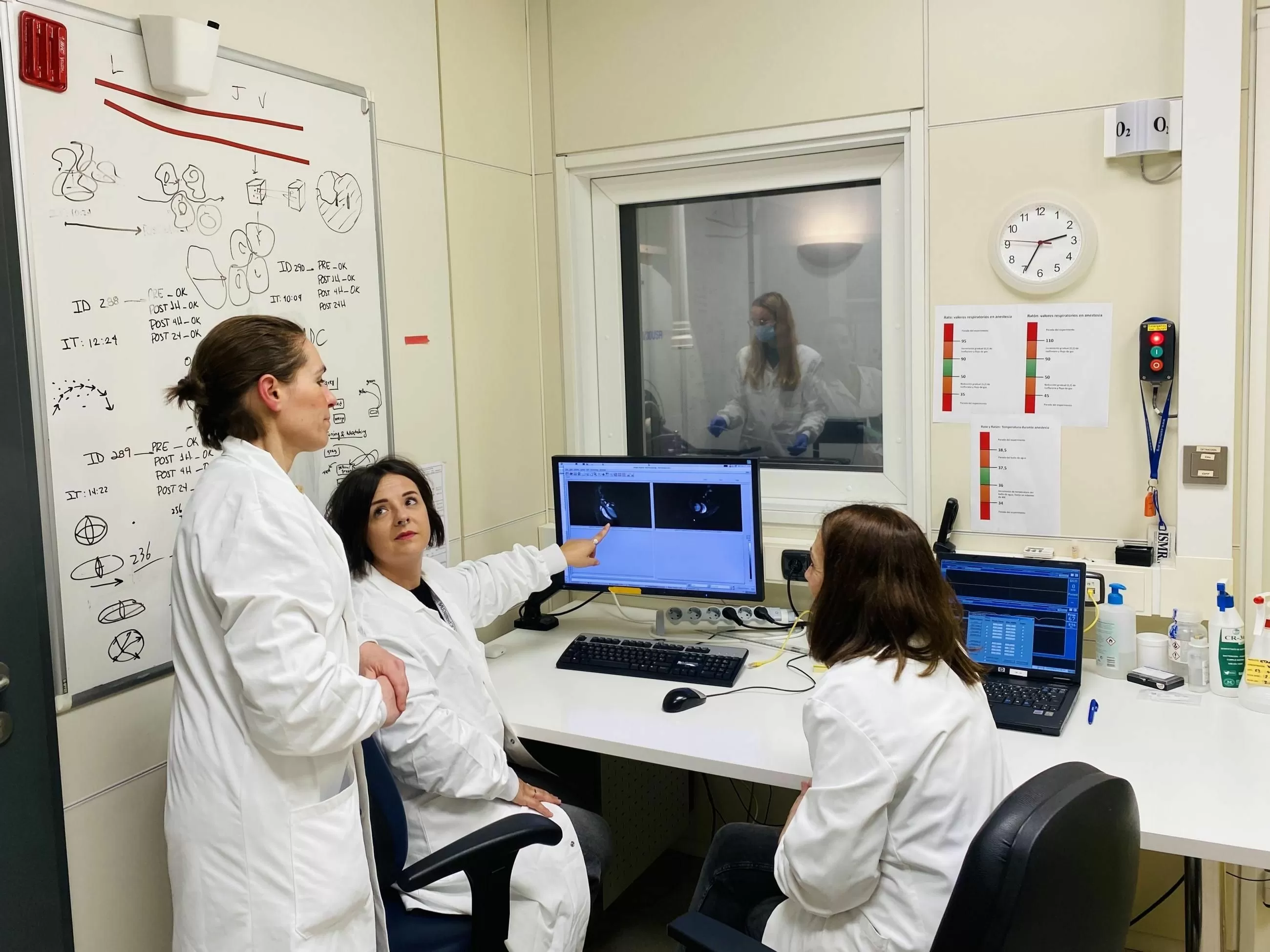 El edulcorante aspartamo podría individuo nocivo para el corazón y el cerebro