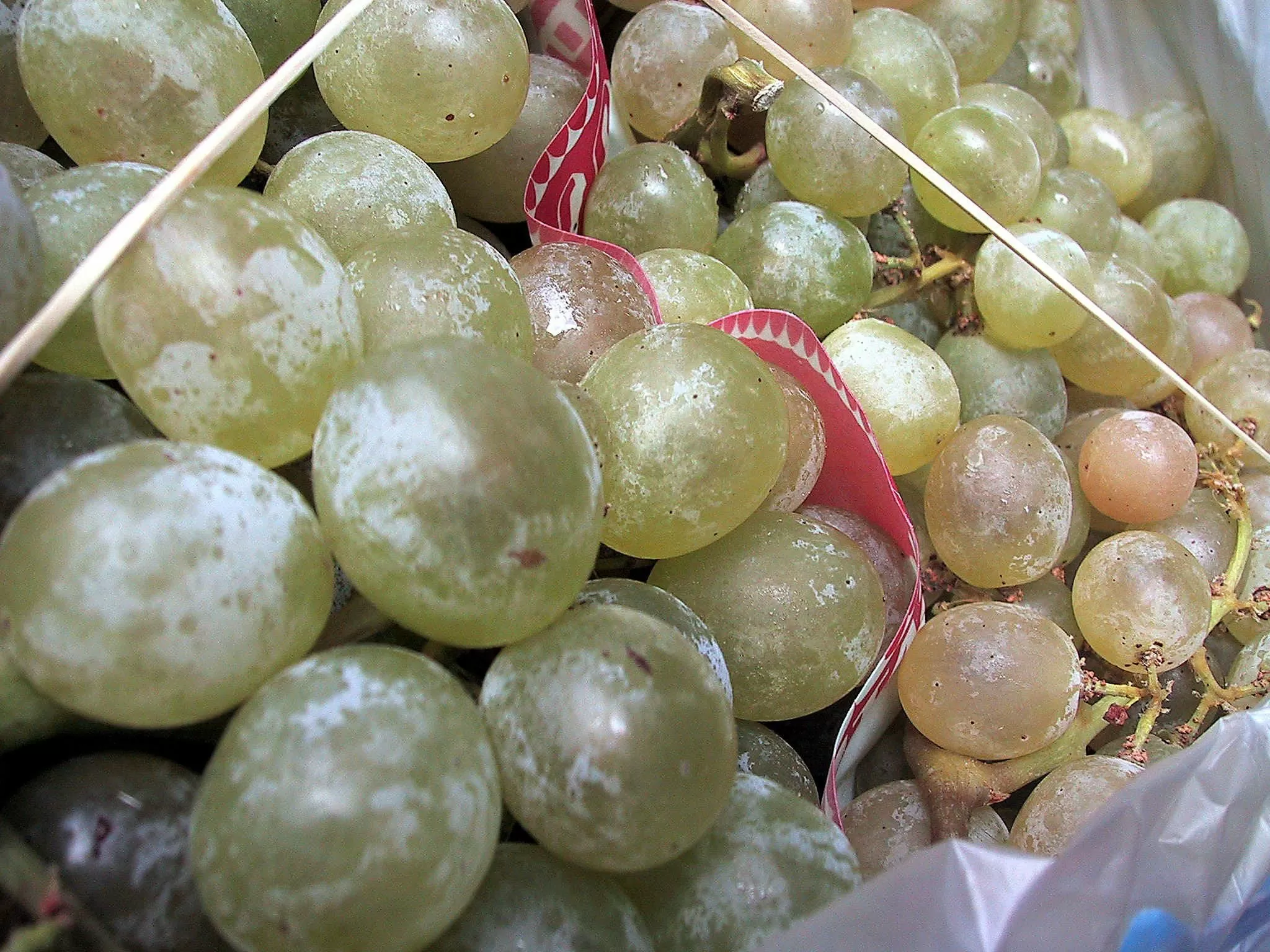 El coste de las uvas sube casi un 40% en un mes, pero sigue por debajo del de la pasada Nochevieja: este es el autoservicio donde están más baratas