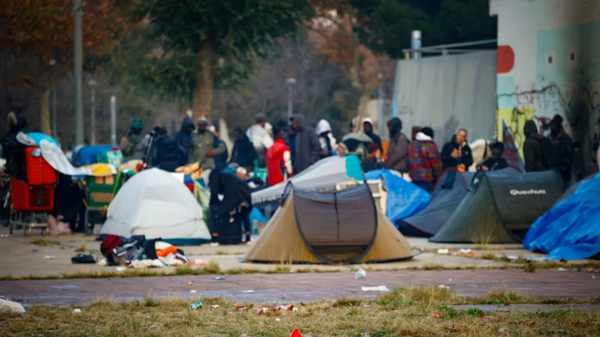 Drets Socials pide al alcalde Albiol que vuelva a abrir el albergue social de perro Bofí Vell