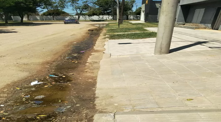Intendente Alvear: El «asignación» de Agustina García es un criadero de dengue frente a la cancha de Ferro
