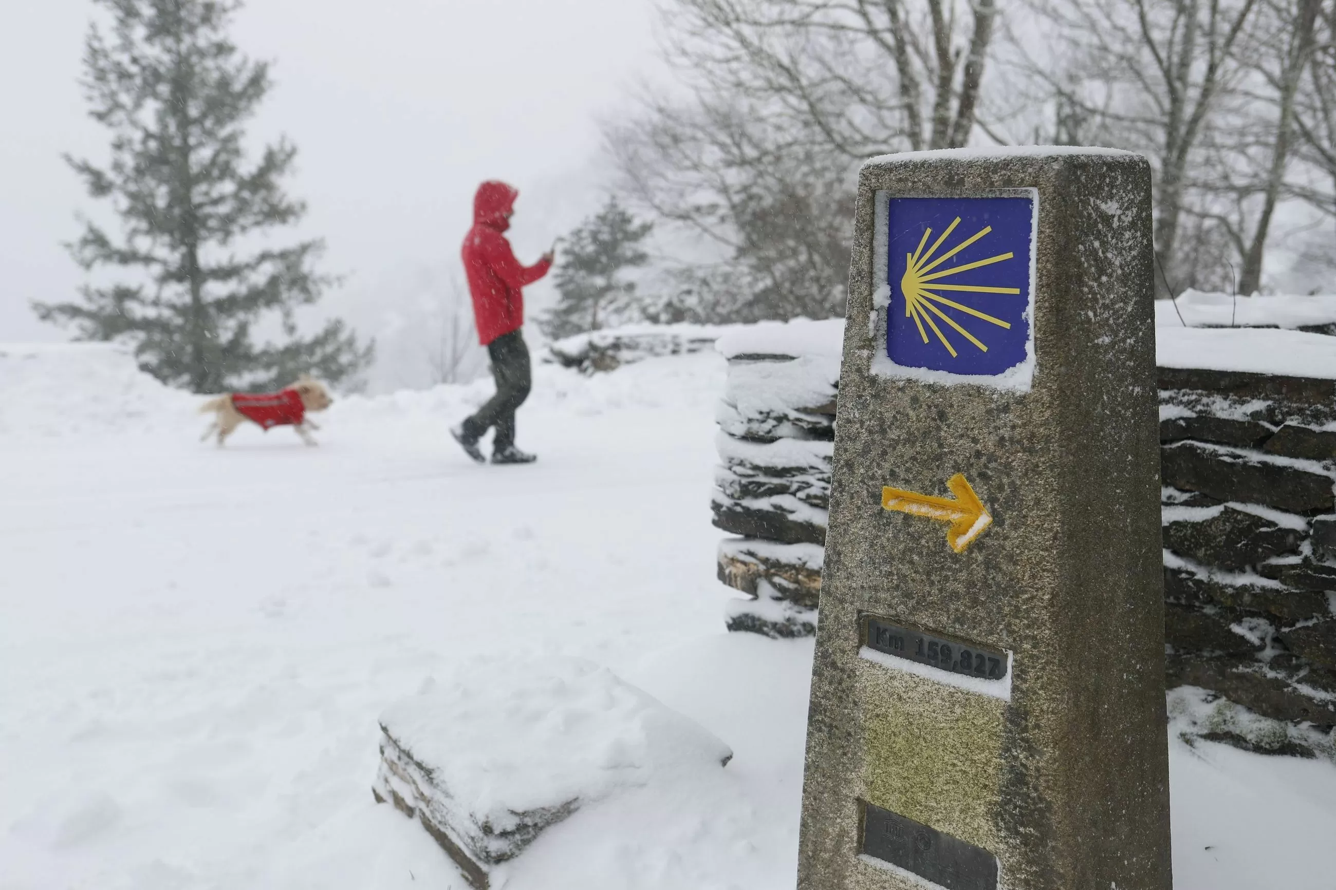 La nieve tiñe de blanco el norte de España