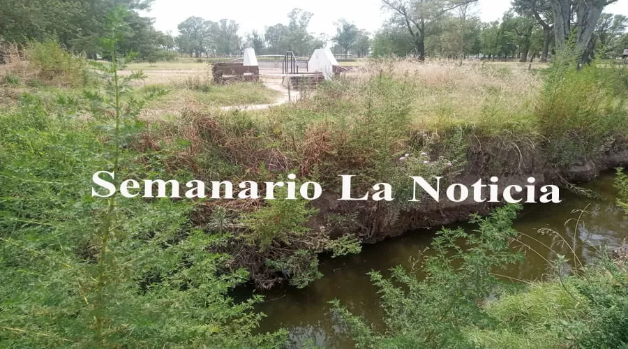 América vecinos del Barrio Perón: Reclaman ante el municipio por abandono y riesgos sanitarios (grabación)
