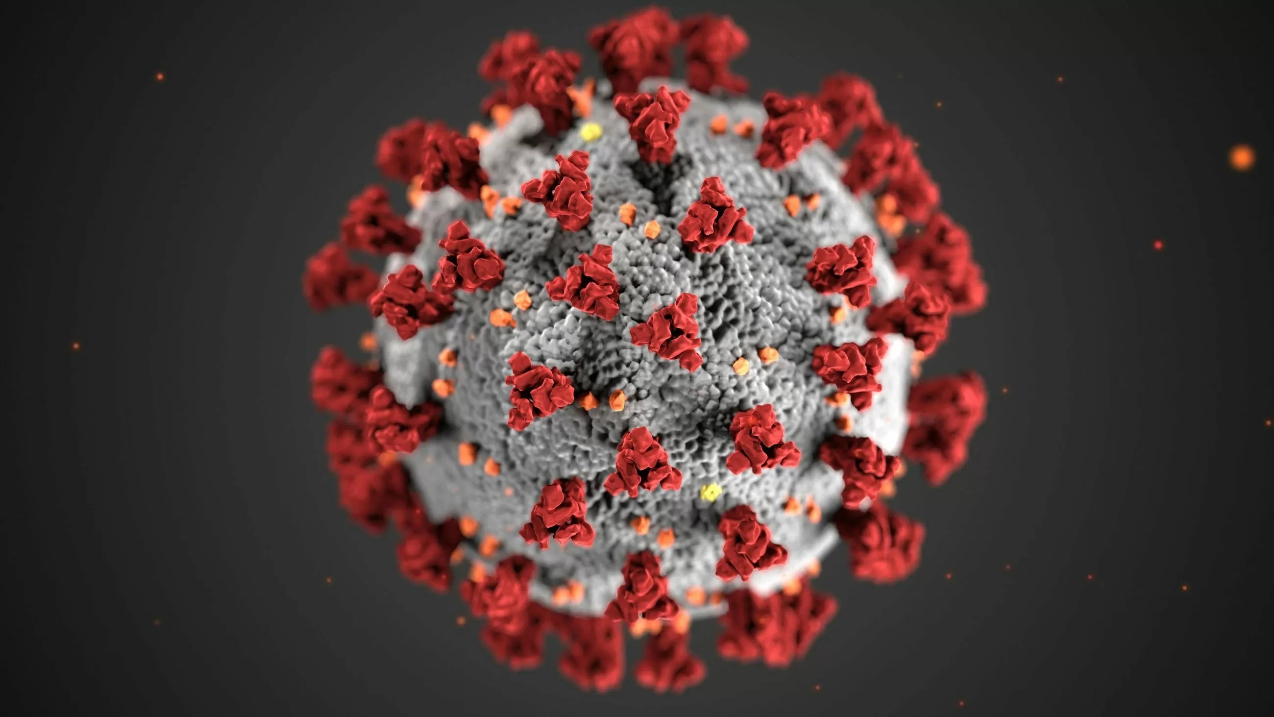 Rotavirus: qué es, cómo afecta y cuánto dura
