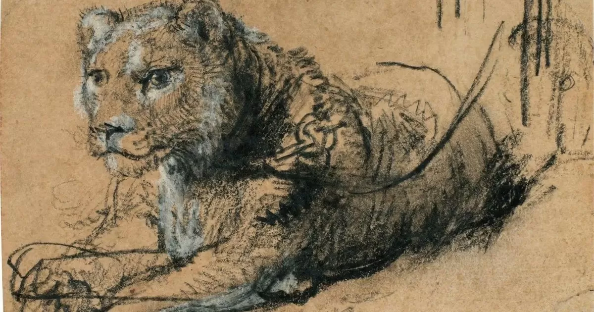 Sotheby’s vendió un dibujo único de Rembrandt y transferirá lo recaudado a la conservación de leones