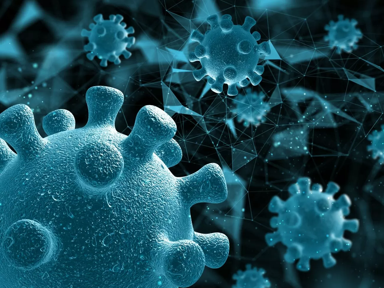 El casualidad de afectación del virus de Nipah en España es bajo