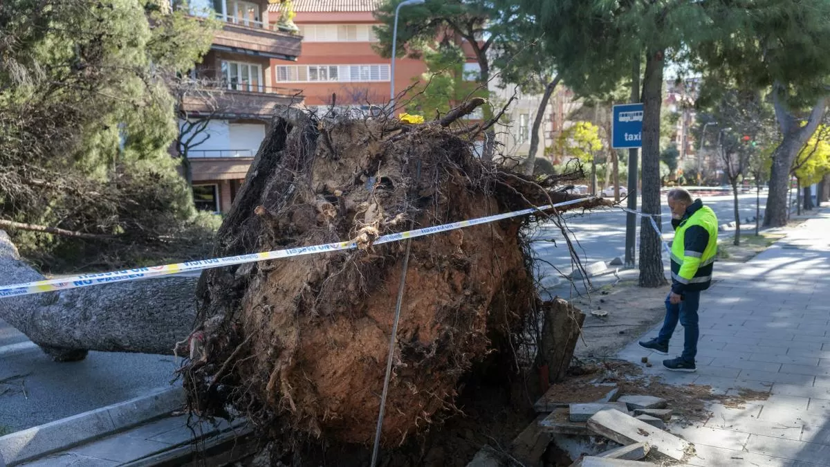 La borrasca ‘Nils’ deja 4.000 incidencias y 86 heridos y da embocadura a otro temporal