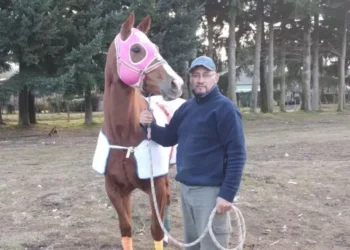 Ante la problemática de público de caballos en la pista de atletismo, habló uno de los dueños del equino