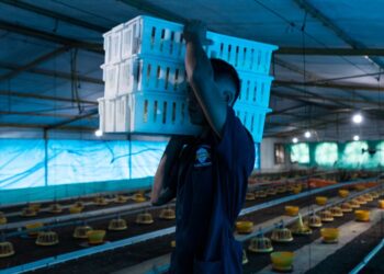 En el IUTA JHS promovemos el desarrollo de jóvenes íntegros y capacitados.