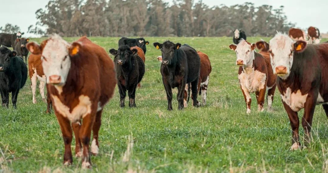 “La Economía: Motor del crecimiento y desarrollo social”