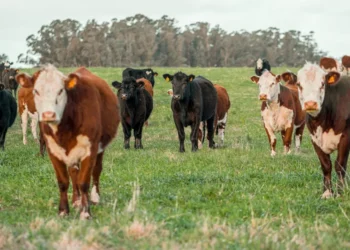 “La Economía: Motor del crecimiento y desarrollo social”