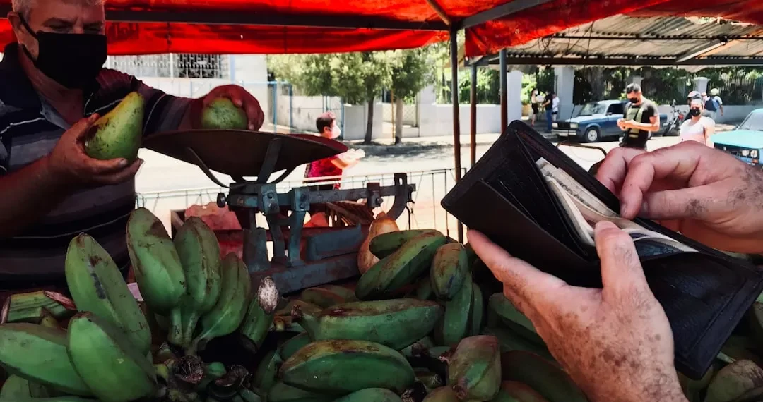 “La importancia de la economía en la sociedad actual”