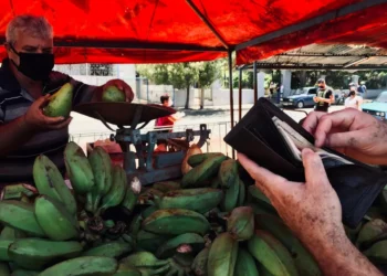 “La importancia de la economía en la sociedad actual”