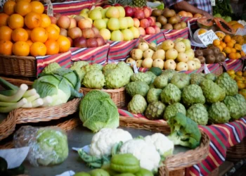 “La salud: un tesoro que debemos cuidar”