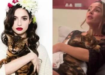 Brenda Asnicar compartió el particular velatorio que le hizo a su gato, Bandido: el video