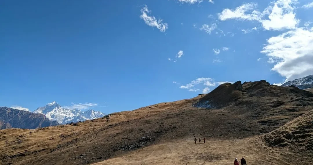 “¡Descubre cómo alcanzar el bienestar integral en tu vida!”