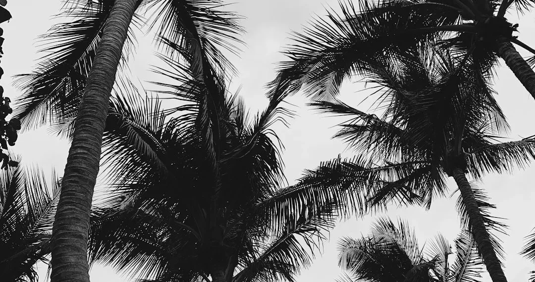 “Importancia del ejercicio para una vida saludable”