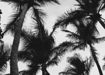 “Importancia del ejercicio para una vida saludable”