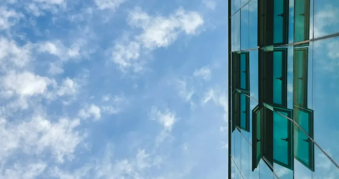 “Descubriendo la fascinante cara de la Economía”