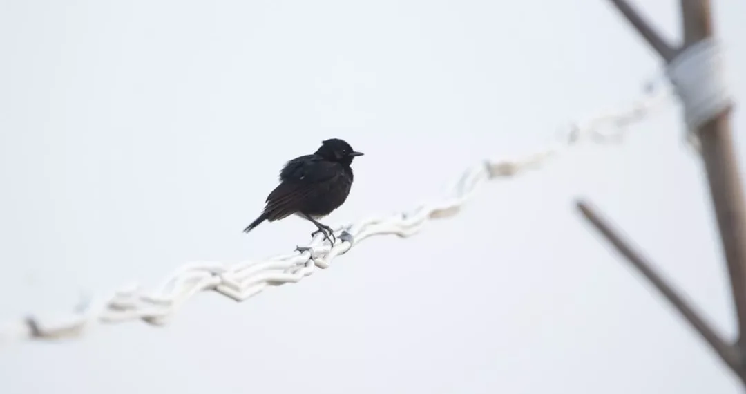 “La importancia de cuidar nuestra salud”