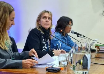 Un proyecto para bajar a la mitad el sueldo de los concejales recrudece la combate libertaria en Bahía Blanca