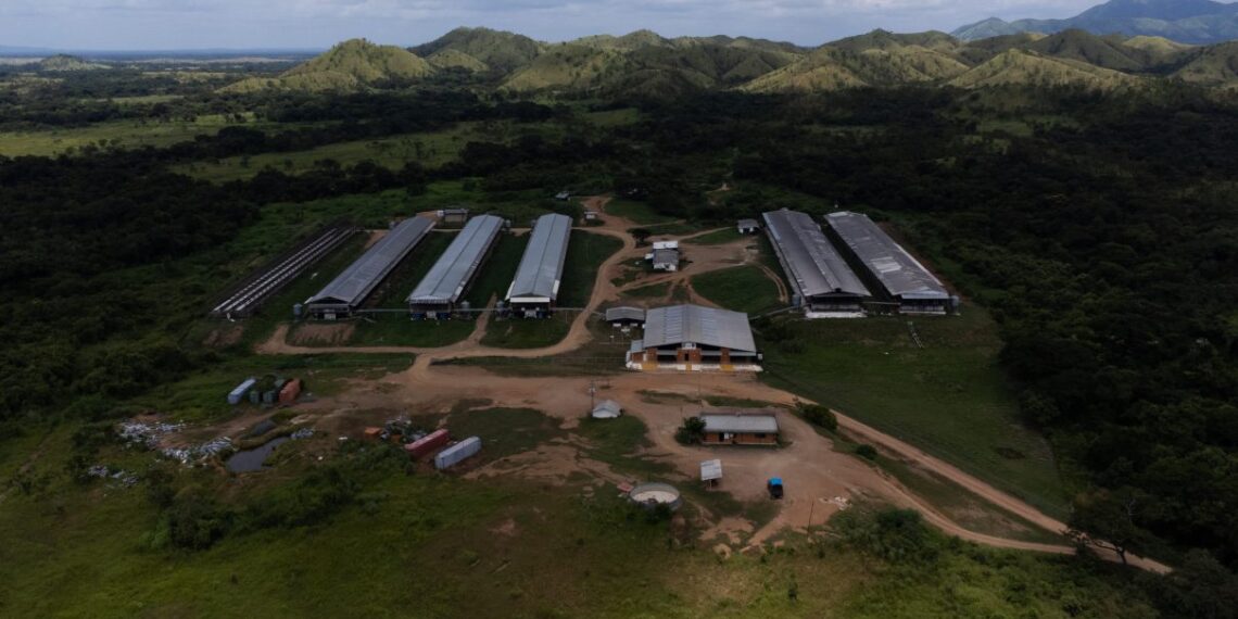 «El año 2024 será un año lleno de desafíos, pero también de oportunidades.»
