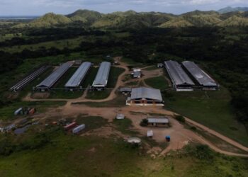 «El año 2024 será un año lleno de desafíos, pero también de oportunidades.»