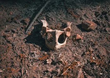 “Actitud positiva: clave para una vida plena”