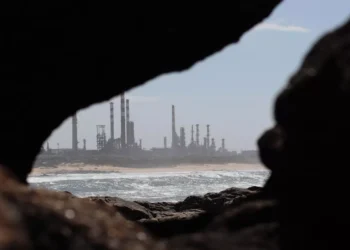 “El papel crucial de la economía en el desarrollo nacional”