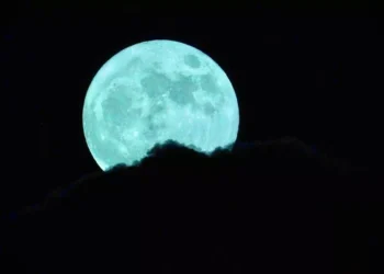 “Mi transformación con el fitness: una historia inspiradora”