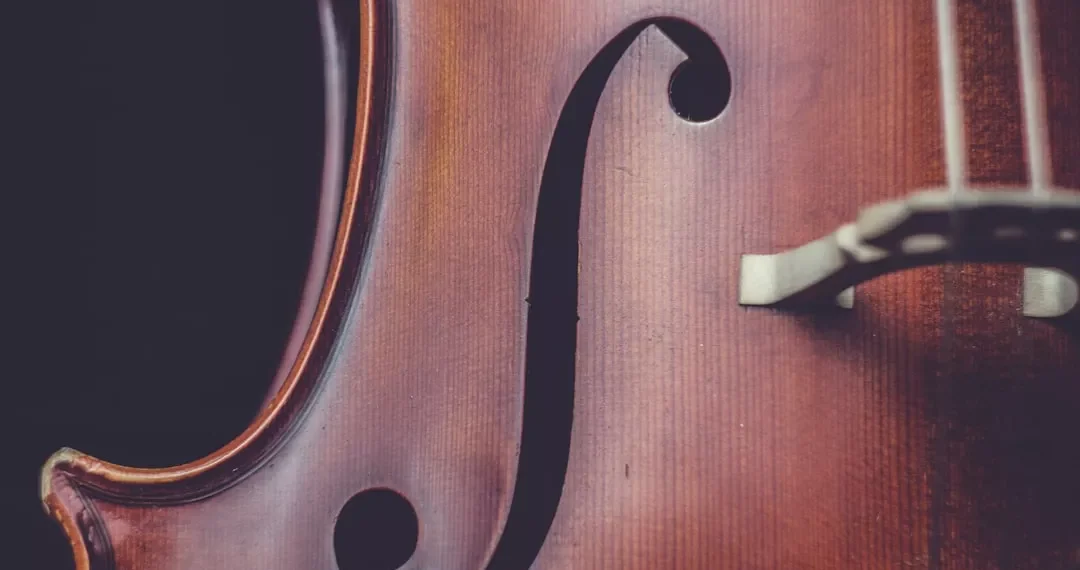 “La Música: Expresión, Historia y Mensaje”