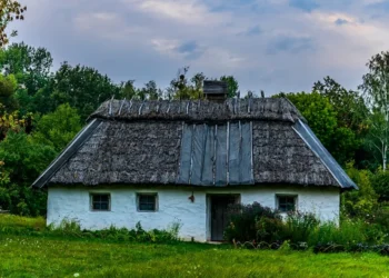 “Economía: clave en el desarrollo y crecimiento mundial”