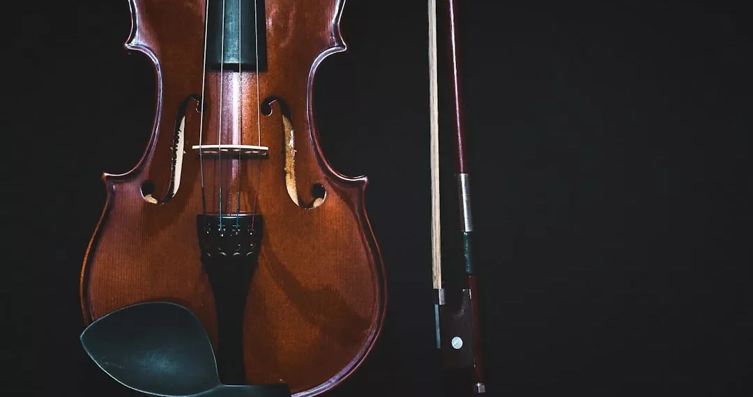 “La música: un lenguaje universal que nos conecta”