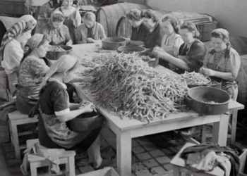 “La Economía: Clave para el Progreso Mundial”