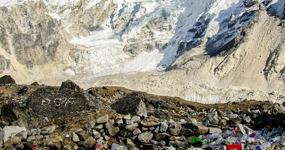 “Transformando la sociedad hacia la sostenibilidad: Experiencias positivas”