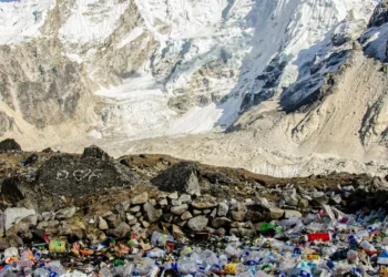 “Transformando la sociedad hacia la sostenibilidad: Experiencias positivas”