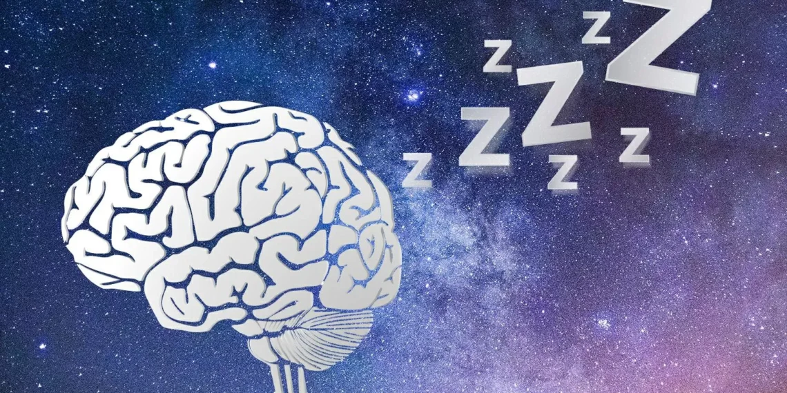 El sueño profundo no solo descansa, también despeja la mente