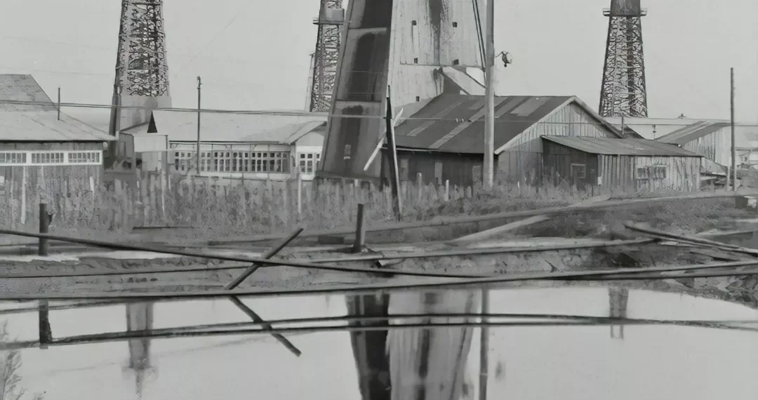 “El poder de la solidaridad: experiencias positivas y transformadoras”