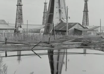 “El poder de la solidaridad: experiencias positivas y transformadoras”