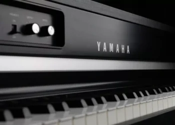 “El poder de la música: una conexión universal”