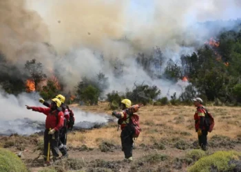 Obispos de la Patagonia expresaron su preocupación por los incendios en la región