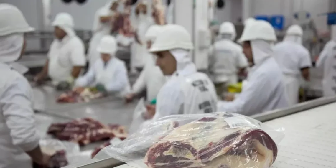 Las exportaciones de carne superaron las 900 mil toneladas en 2024