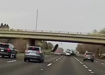 Vídeo: Un auto cae de un puente en California y se estrella frente a el pavimento