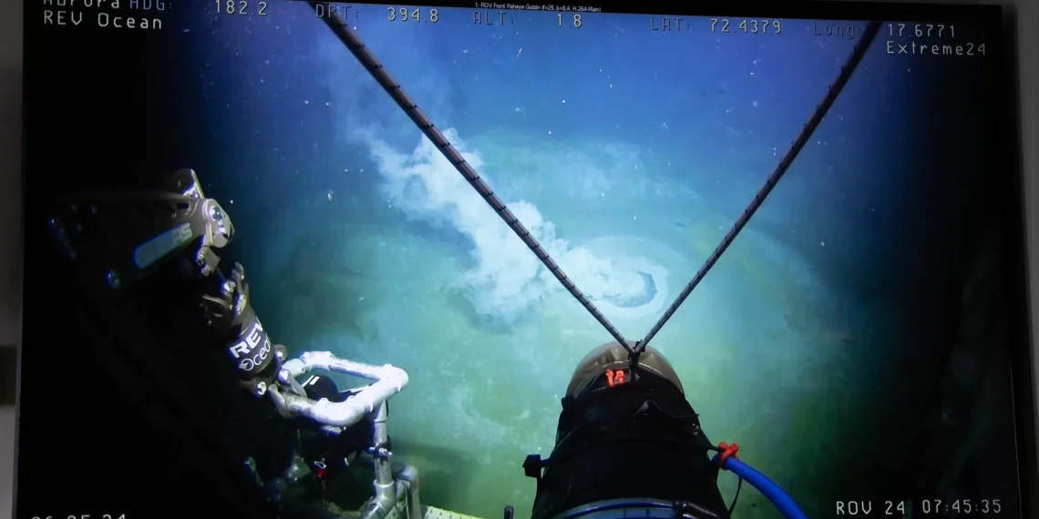 El volcán de barro Borealis, un inusual santuario escondido de la biodiversidad marina