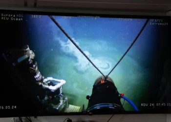 El volcán de barro Borealis, un inusual santuario escondido de la biodiversidad marina