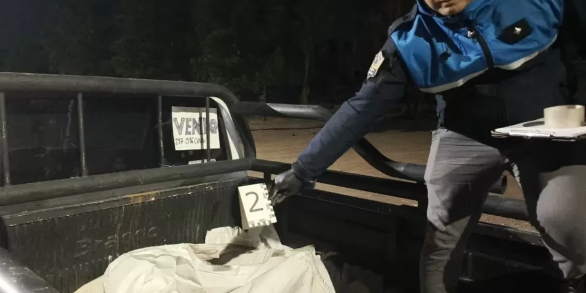 Demoran a un semental con carne de caballo sin acreditación en Los Antiguos