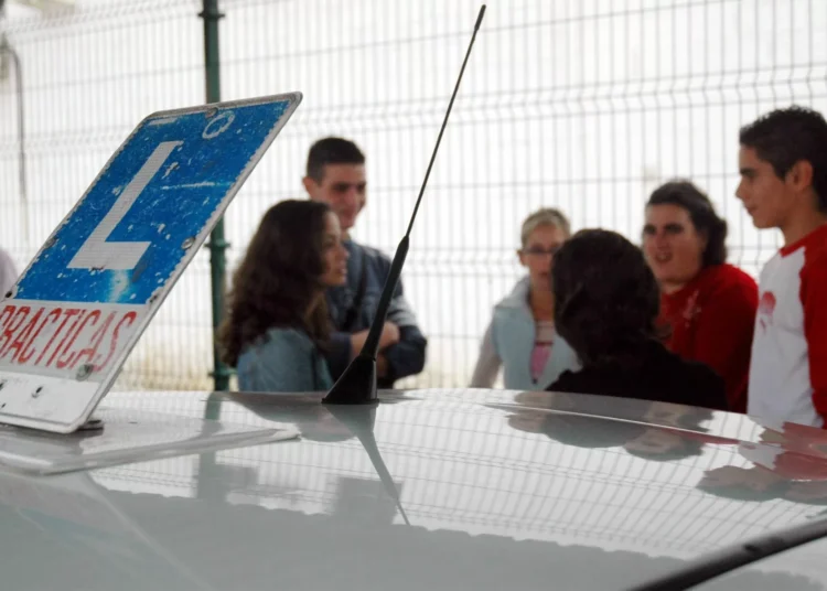 Los menores de 17 años podrán tener carné de transportar si van con un adulto experimentado