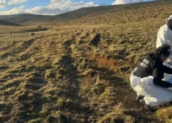 asesinato en Ricardo Rojas: Un hombre se presentó espontáneamente y dijo ser el autor