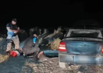 Detenidos en Península Valdés por abigeato y resistencia a la representante