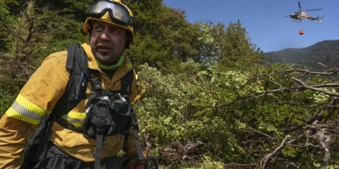 Contienen el incendio en el Parque Nacional Lanín, empero sigue el monitoreo