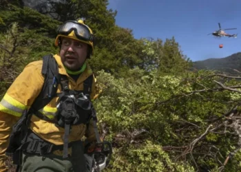 Contienen el incendio en el Parque Nacional Lanín, empero sigue el monitoreo